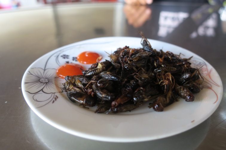 crisped crickets at the "happy water" place where Bin told us a raucous story about bestiality